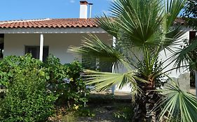 Hephaestus Appartments Litochoro -A1